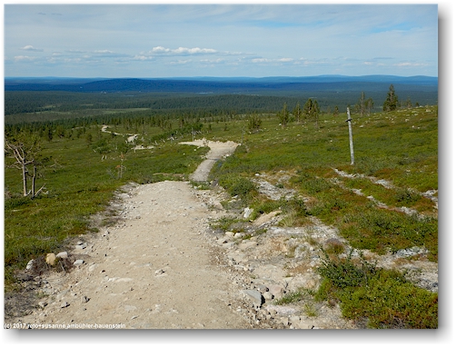 an der baumgrenze auf dem wanderweg richtung pyhaekero - blick talwaerts