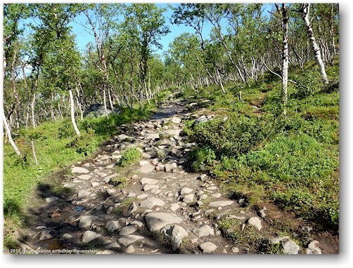 wanderweg am fuss des saana