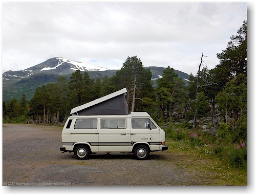 unser joker auf dem campingplatz im stora sjoefallets nationalpark
