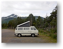 unser joker auf dem campingplatz im stora sjoefallets nationalpark