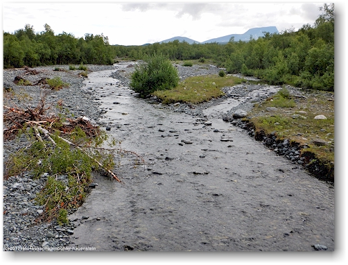 blick auf den nissonjohka entlang des kungsleden zwischen abisko und den abiskojaurestugorna