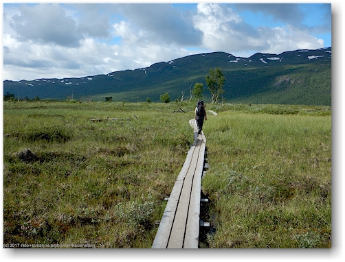 susanne unterwegs auf einem steg entlang des kungsleden zwischen abisko und den abiskojaurestugorna