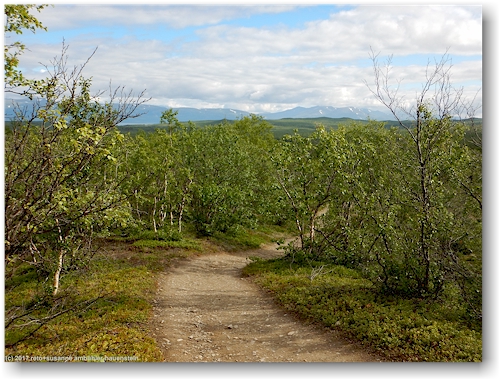 trockener abschnitt des kungsleden zwischen abisko und den abiskojaurestugorna