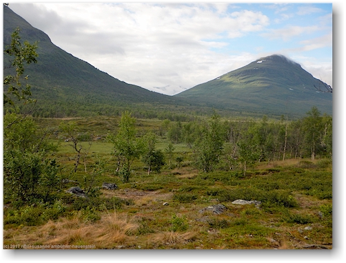 landschaft entlang des kungsleden zwischen den abiskojaurestugorna und den alesjaurestugorna