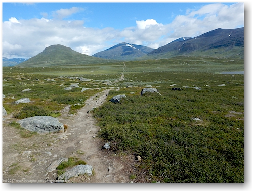 hochebene nahe ribakluokta entlang des kungsleden zwischen den abiskojaurestugorna und den alesjaurestugorna
