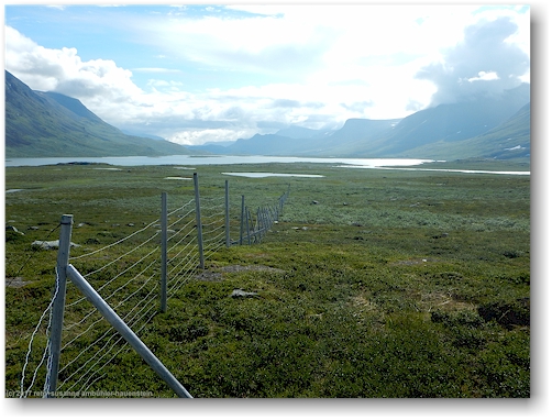 rentierzaun nahe ribakluokta entlang des kungsleden zwischen den abiskojaurestugorna und den alesjaurestugorna