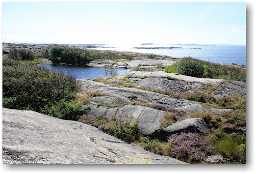 felskueste am skagerrak bei kungshamn