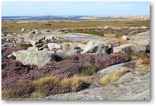 felslandschaft mit karger vegetation auf halloe