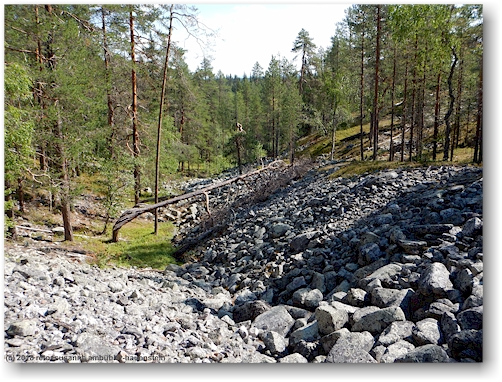 geroell im pyhae-luosto nationalpark