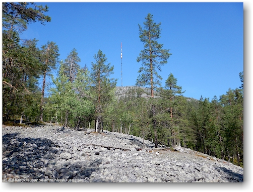 blick aus dem pyhae-luosto nationalpark auf den kultakero