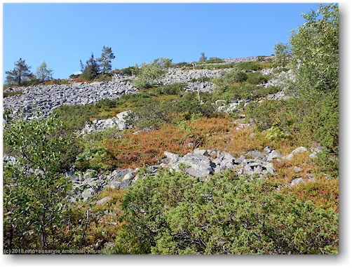 blick richtung gipfel des noitatunturi im pyhae-luosto nationalpark