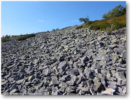 blick richtung gipfel des noitatunturi im pyhae-luosto nationalpark