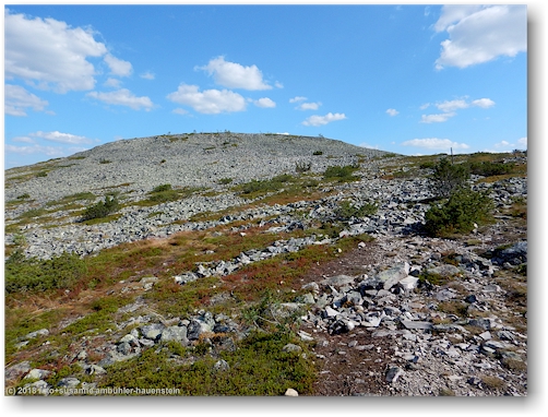 blick richtung gipfel des noitatunturi im pyhae-luosto nationalpark