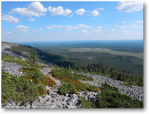 blick vom noitatunturi im pyhae-luosto nationalpark richtung suedosten