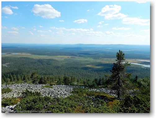 blick vom noitatunturi im pyhae-luosto nationalpark richtung sueden
