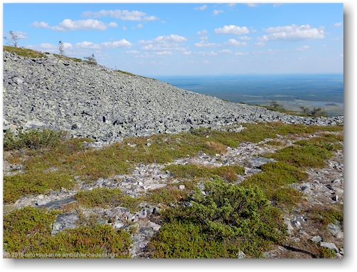 in der naehe des gipfels des noitatunturi im pyhae-luosto nationalpark