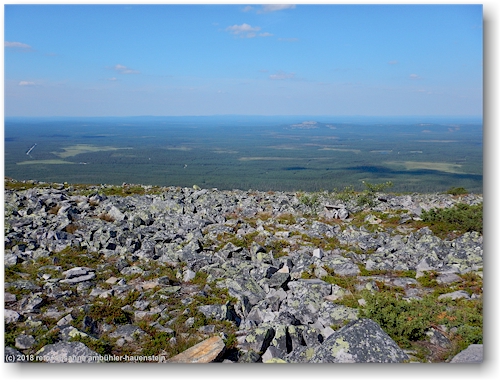 blick vom gipfel des noitatunturi im pyhae-luosto nationalpark richtung norden