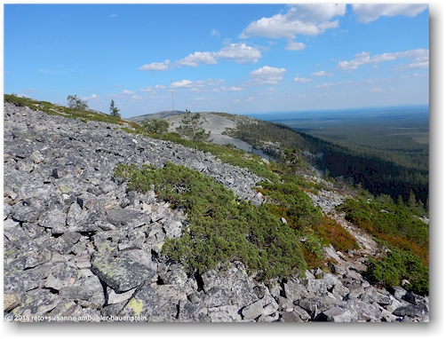 blick vom noitatunturi im pyhae-luosto nationalpark richtung kultakero