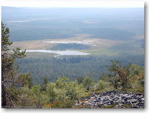 blick vom noitatunturi im pyhae-luosto nationalpark auf den tunturilampi