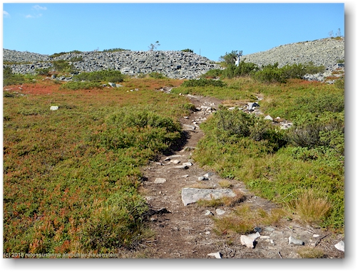 wanderweg richtung gipfel des noitatunturi im pyhae-luosto nationalpark