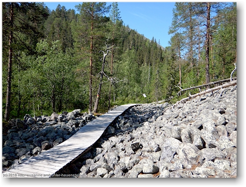 wandersteg im pyhae-luosto nationalpark