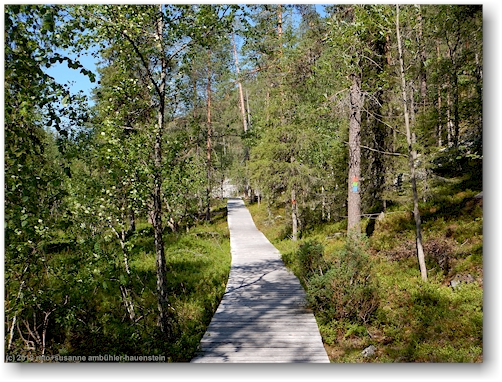 wandersteg im pyhae-luosto nationalpark