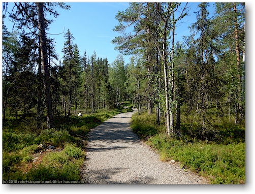 wanderweg im pyhae-luosto nationalpark
