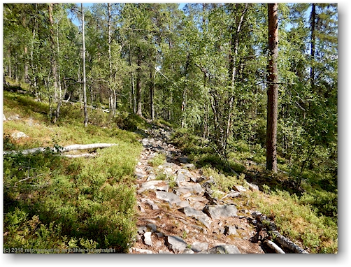 wanderweg im pyhae-luosto nationalpark