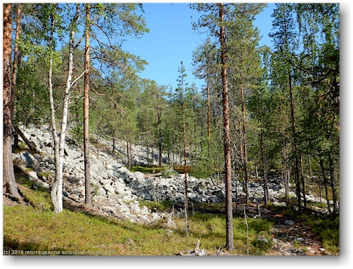 wanderweg im pyhae-luosto nationalpark