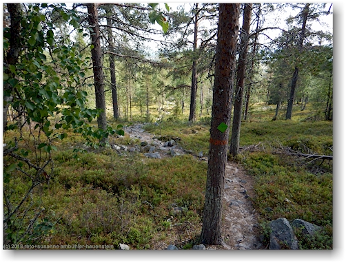 wanderweg richtung noitatunturi im pyhae-luosto nationalpark