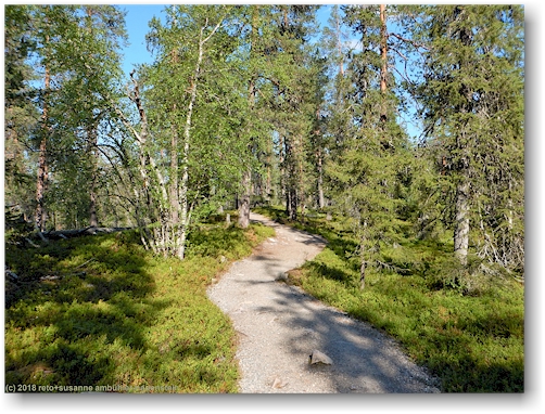 wanderweg im pyhae-luosto nationalpark