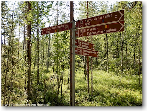 wegweiser im pyhae-luosto nationalpark