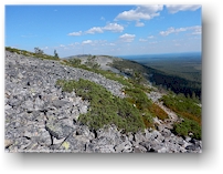 blick vom noitatunturi im pyhae-luosto nationalpark richtung kultakero