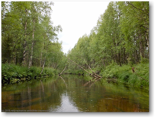 einsamer pyhaejoki