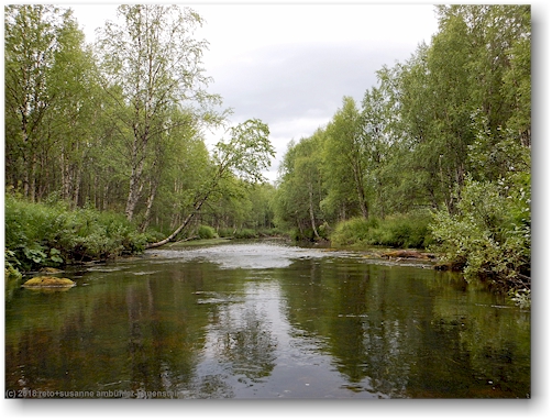 einsamer pyhaejoki