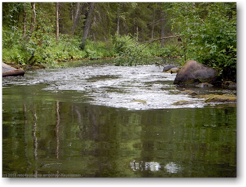 winzige stromschnelle im pyhaejoki