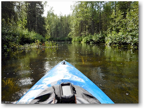 unterwegs im kajak auf dem pyhaejoki