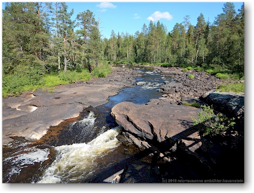 muddusaelven im muddus nationalpark
