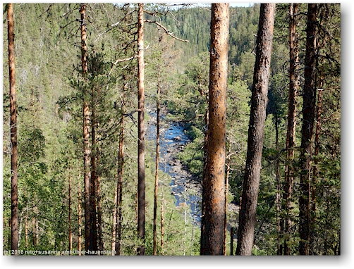 muddusaelven im muddus nationalpark
