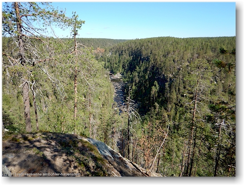 tal des muddusaelven im muddus nationalpark
