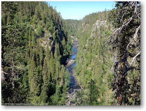 tal des muddusaelven im muddus nationalpark
