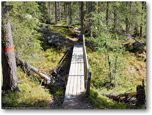 bruecke im verlauf des wanderweges im muddus nationalpark