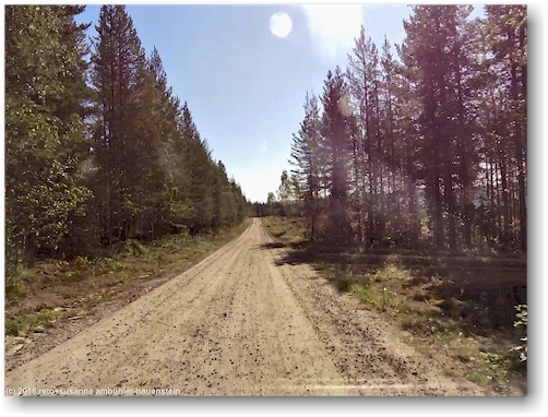 zufahrtstrasse zum muddus nationalpark
