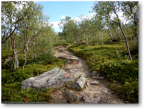 steiniger wanderweg bei saltoluokta