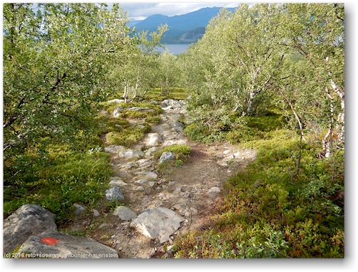 steiniger wanderweg bei saltoluokta