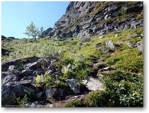 steiler aufstieg zum lulep kierkau - blick nach oben