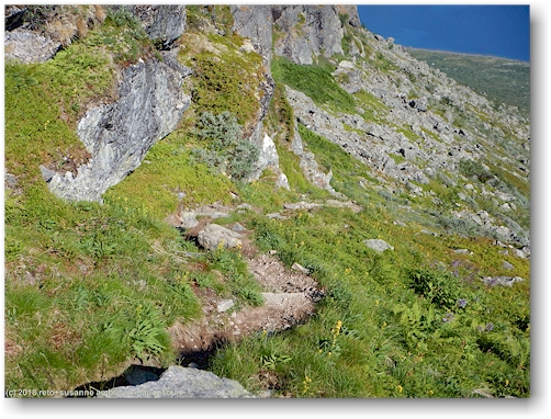 steiler aufstieg zum lulep kierkau - blick nach unten