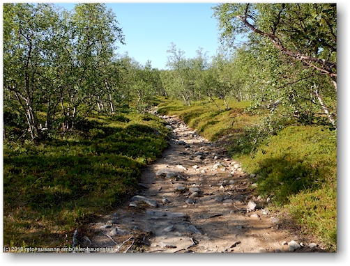 wanderweg bei saltoluokta