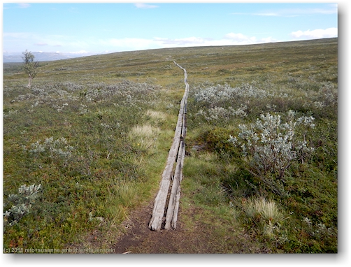 holzsteg entlang des kungsleden im tal des autsutj-jakka