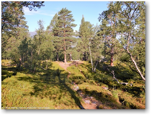 winterweg bei saltoluokta